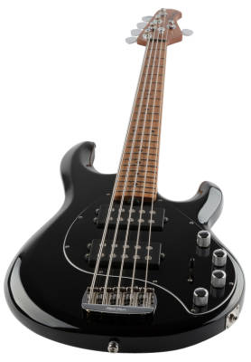 StingRay5 Special 5 HH 5-String Electric Bass with Case - Black