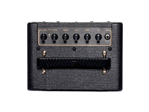 Mini SuperBeetle 25 Guitar Amplifier