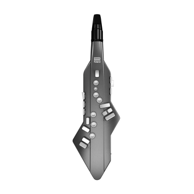 Roland - Aerophone GO Digital Wind Instrument - Graphite