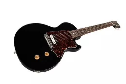2018 Billie Joe Armstrong Les Paul Junior - Ebony