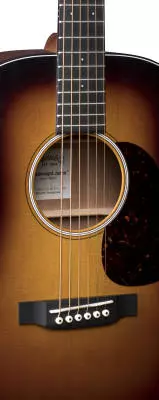 D Jr. E Dreadnought Spruce Acoustic/Electric Guitar - Sunburst