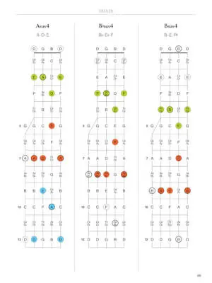 Banjo Fretboard Atlas: Get a Better Grip on Neck Navigation! - Charupakorn - Book