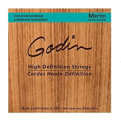 Seagull Guitars - Merlin String Set 12-25