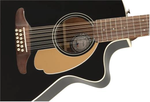 Villager 12-String, Black V3