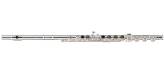 PS-501 Flute w/ Sterling Silver Head Joint, In-Line G, B Foot