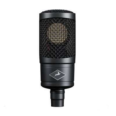 Edge Solo Modeling Microphone