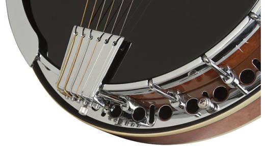 Stagebird 6-string Banjo