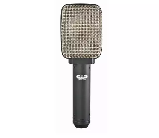 D82 Side Address Large Format Ribbon Microphone