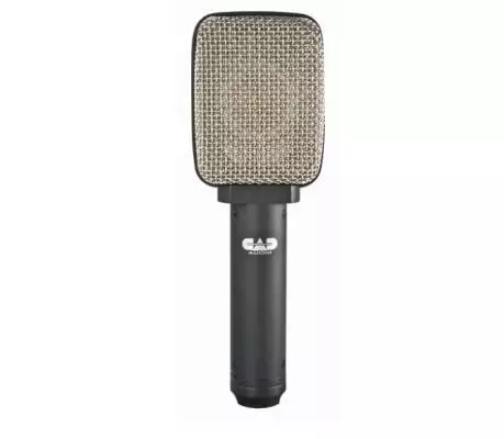 D82 Side Address Large Format Ribbon Microphone