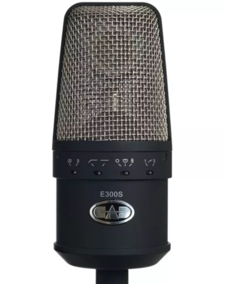 E300S Large Diaphragm Multi-Pattern Condenser Microphone