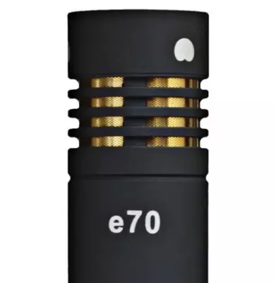 e70 Modular Dual-Capsule Condenser Microphone w/ Cardioid & Omnidirectional Capsules