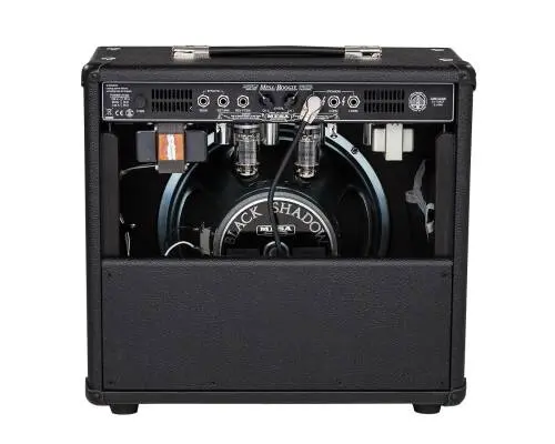 Fillmore 25 1x12 Combo