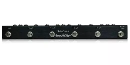Iguana Tail Loop MKII - 5-Channel Loop Switcher