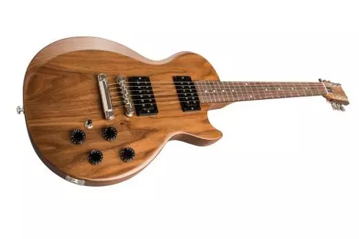 The Paul 40th Anniversary