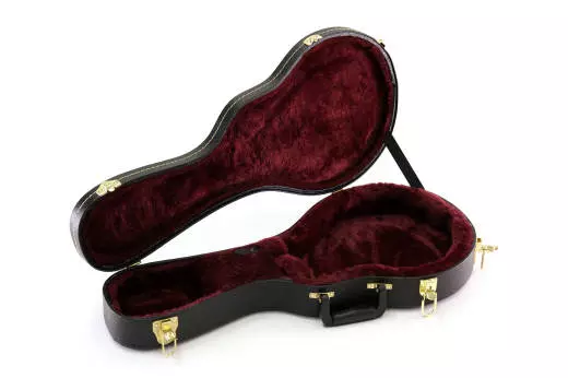 Mandolin Case - F-Style