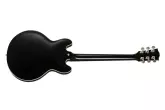 2019 ES-339 Satin Ltd - Ebony