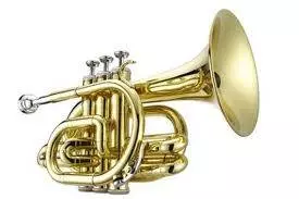 Pocket Trumpet - Gold Lacquer