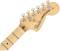 American Performer Stratocaster, Maple Fingerboard - Penny