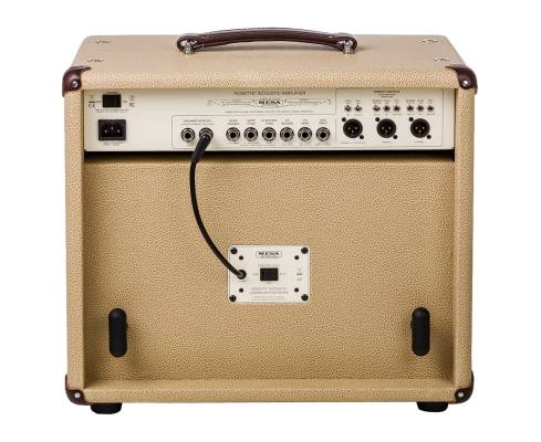 Rosette 300 / One:Ten Acoustic Combo