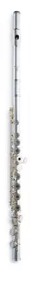 Amadeus Flutes - AF600 - Sterling Silver Headjoint, Inline G, B Foot