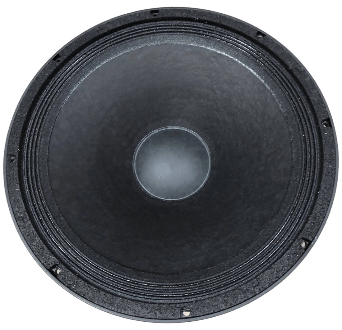 15 Inch 500 Watt 8 Ohm Raw Speaker