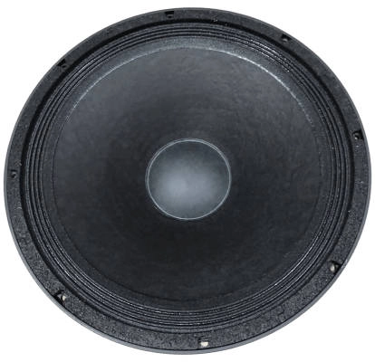 15 Inch 500 Watt 8 Ohm Raw Speaker
