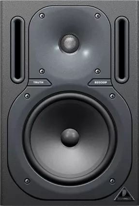 B2030P - 100w Passive Monitor