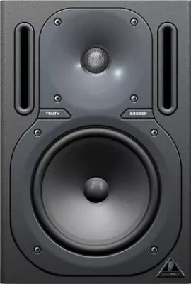 B2030P - 100w Passive Monitor