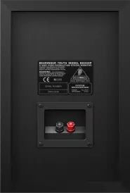 B2030P - 100w Passive Monitor