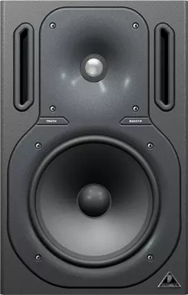 B2031P -150w Passive Monitor