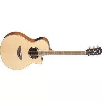 APX500II - Acoustic/Electric - Natural