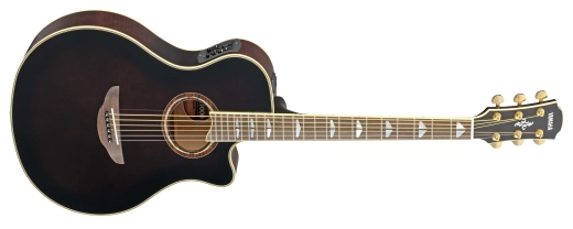 APX1000 - Acoustic/Electric - Mocha Black