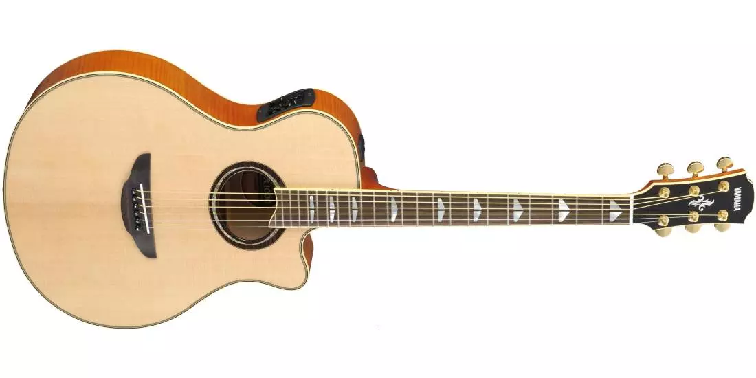 APX1000 - Acoustic/Electric - Natural