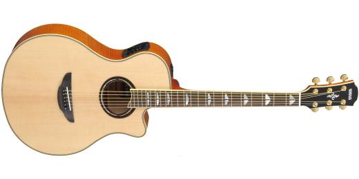 APX1000 - Acoustic/Electric - Natural