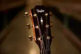 317e Grand Pacific Acoustic-Electric Guitar with V-Class Bracing, ES2 & Case - Natural