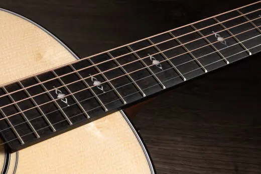 317e Grand Pacific Acoustic-Electric Guitar with V-Class Bracing, ES2 & Case - Natural