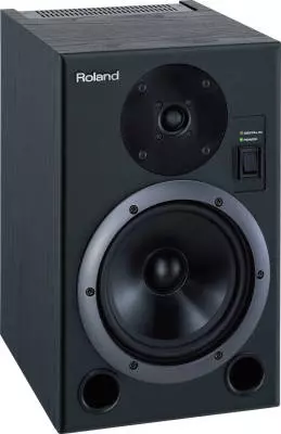 DS-7 - Bi-Amp Monitor