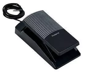 EV-7 - Expression Pedal