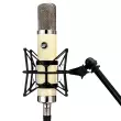WA-251 Microphone condensateur � lampe � grande membrane