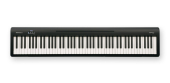 Roland - FP-10 Portable Digital Piano w\/Speakers - Black