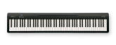 Roland - FP-10 Portable Digital Piano w/Speakers - Black