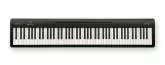 Roland - FP-10 Portable Digital Piano w\/Speakers - Black