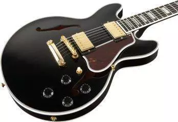 ES-359 - Ebony