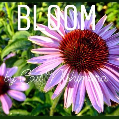 Bloom - Nishimura - Concert Band - Gr. 1.5