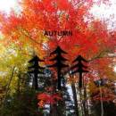 Cait Nishimura - Autumn - Nishimura - Concert Band - Gr. 3.5