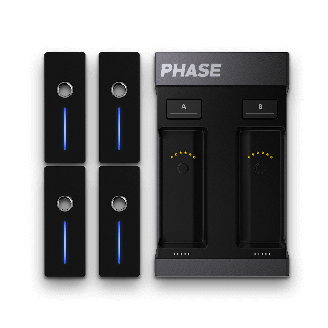 Phase Ultimate 2-Channel Motion Detection DVS System w/4 Remotes