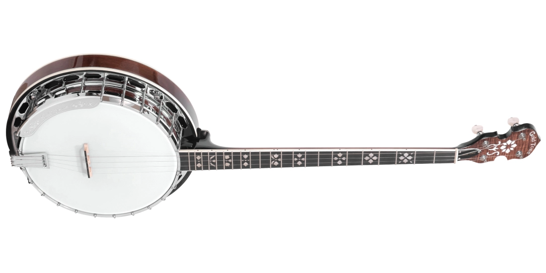 PS-250 Professional 4-String Plectrum Banjo