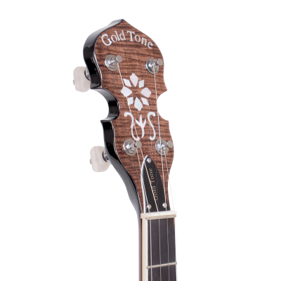 PS-250 Professional 4-String Plectrum Banjo