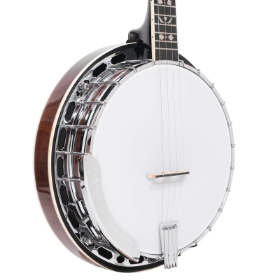 PS-250 Professional 4-String Plectrum Banjo