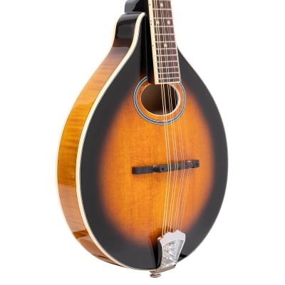 GM-50+ A-Style Mandolin with Pickup